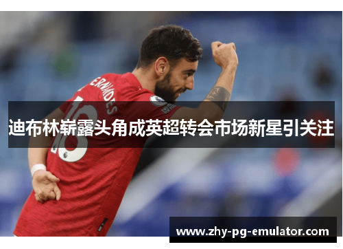 迪布林崭露头角成英超转会市场新星引关注 迪布林崭露头角成英超转会市场新星引关注