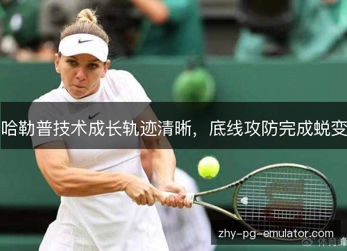 哈勒普技术成长轨迹清晰，底线攻防完成蜕变