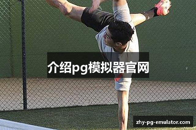 介绍pg模拟器官网